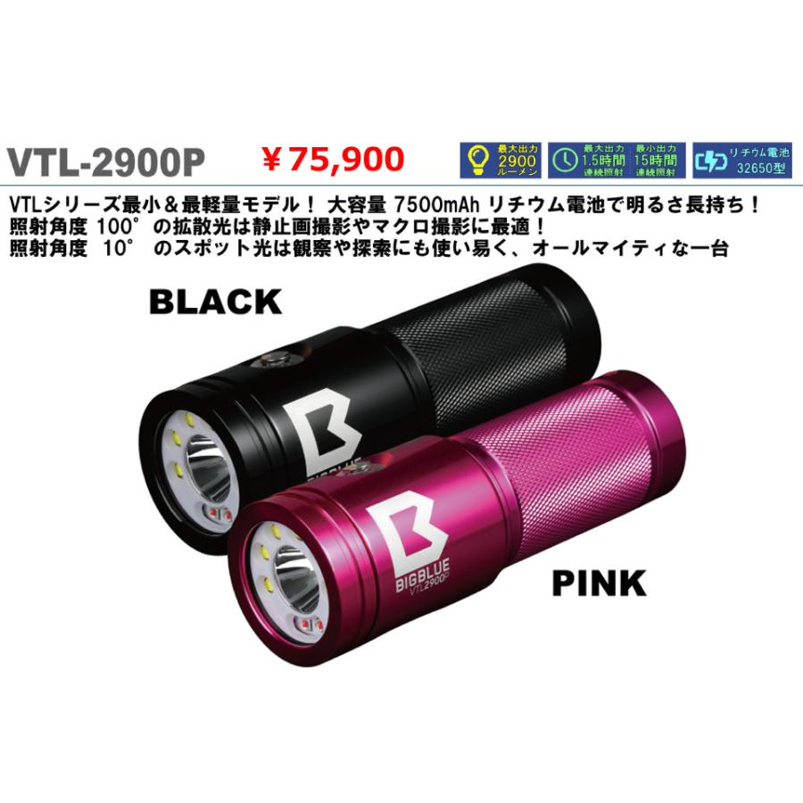 ZERO BIGBLUE ビッグブルー 水中ライト VTL-2900P 水中撮影 ダイビング