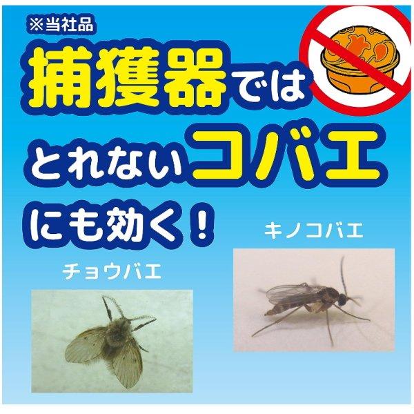 キンチョー 2個セット コバエがいなくなるスプレー 80回用 20ml キンチョー 2個セット コバエがいなくなるスプレー 80回用 20ml