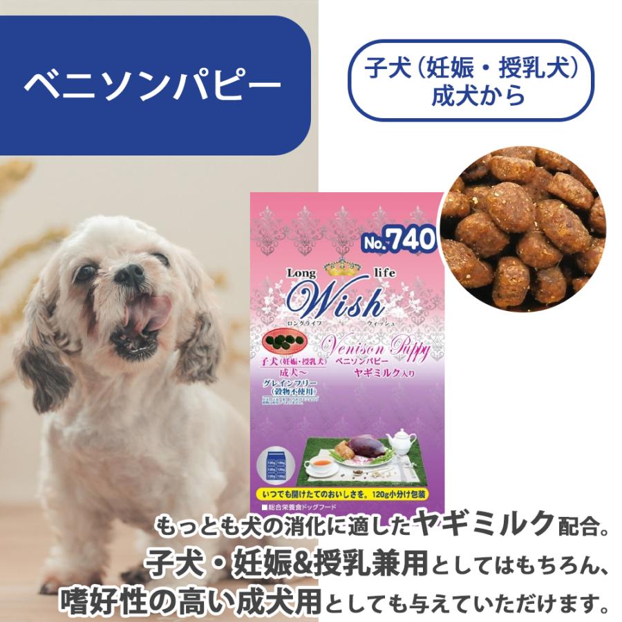 ウィッシュ おまけ付き Wish ベニソン パピー 子犬 妊娠 授乳犬 成犬 