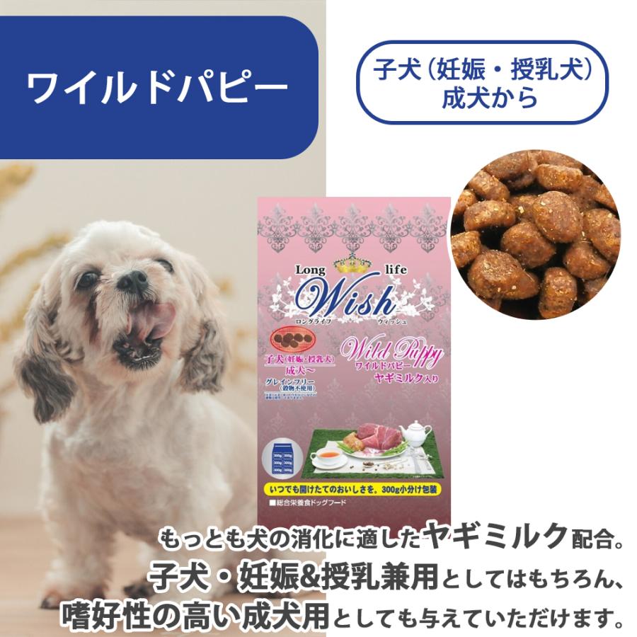 ウィッシュ おまけ付き Wish ワイルド パピー 子犬 妊娠 授乳犬 成犬