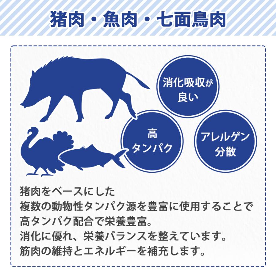 ウィッシュ おまけ付き Wish ワイルド パピー 子犬 妊娠 授乳犬 成犬