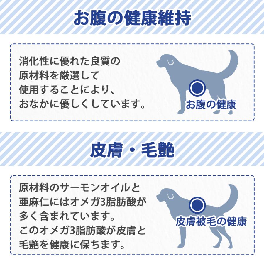 ウィッシュ おまけ付き Wish ワイルド パピー 子犬 妊娠 授乳犬 成犬