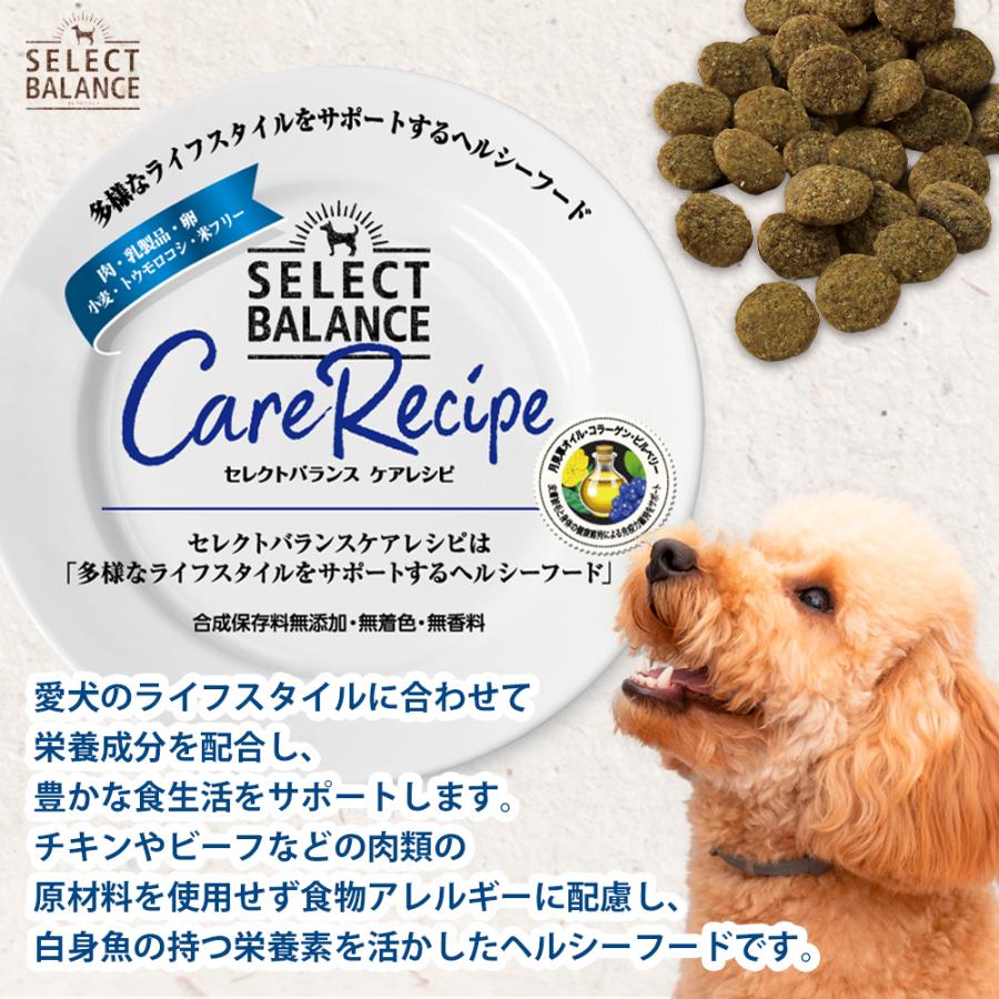 SELECT BALANCE セレクトバランス ケアレシピ 腎臓・心臓の健康維持