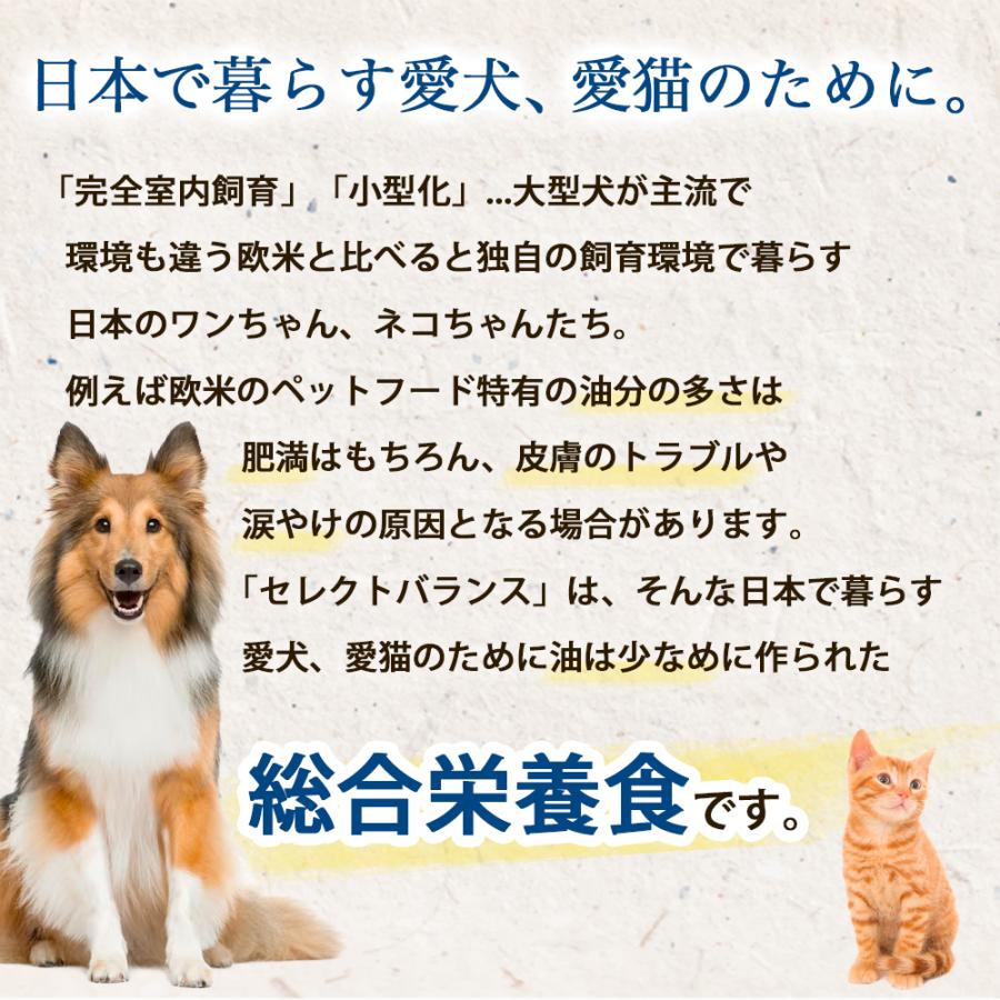 SELECT BALANCE セレクトバランス アダルト ラム 中粒 7kg 7キロ 成犬