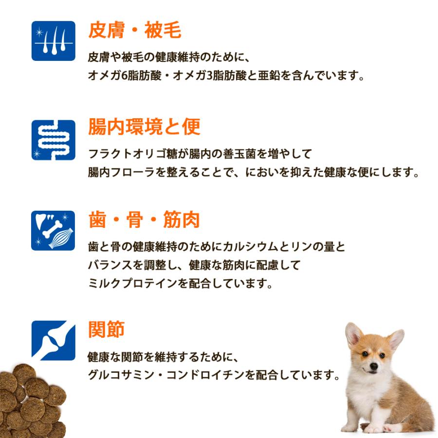 SELECT BALANCE セレクトバランス アダルト ラム 中粒 7kg 7キロ 成犬