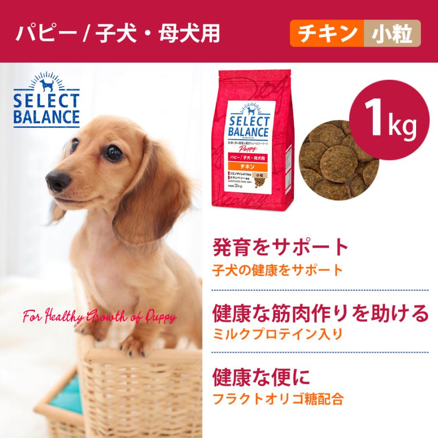 セレクトバランス パピー チキン小粒子犬・母犬用1kg×5&ペースト80g×4 SELECT BALANCE セレクトバランス パピー チキン 小粒 1kg 子犬 母犬用