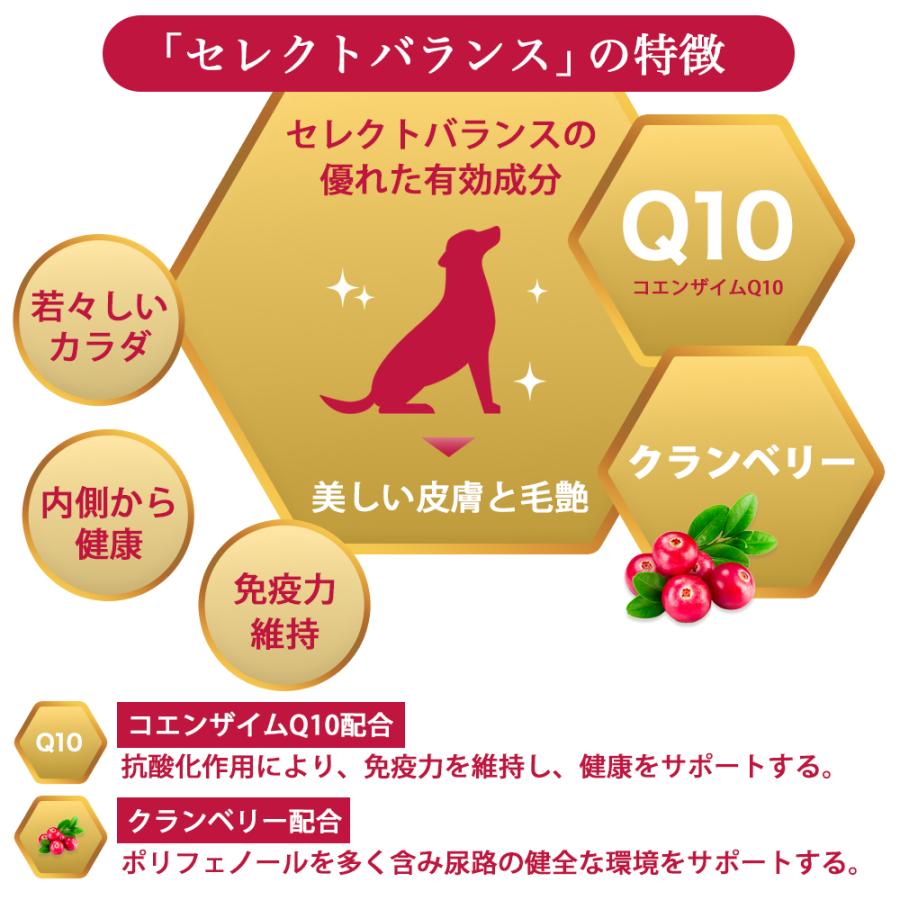 SELECT BALANCE セレクトバランス パピー チキン 小粒 1kg 子犬 母犬用