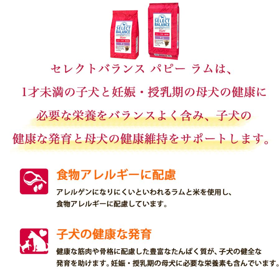 SELECT BALANCE セレクトバランス パピー ラム 小粒 3kg 子犬 母犬用