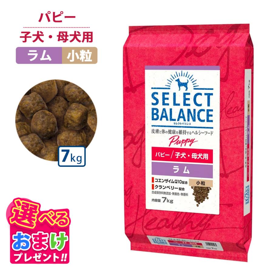 犬用品 セレクトバランス 子犬・母犬用 ラム 小粒 7kg