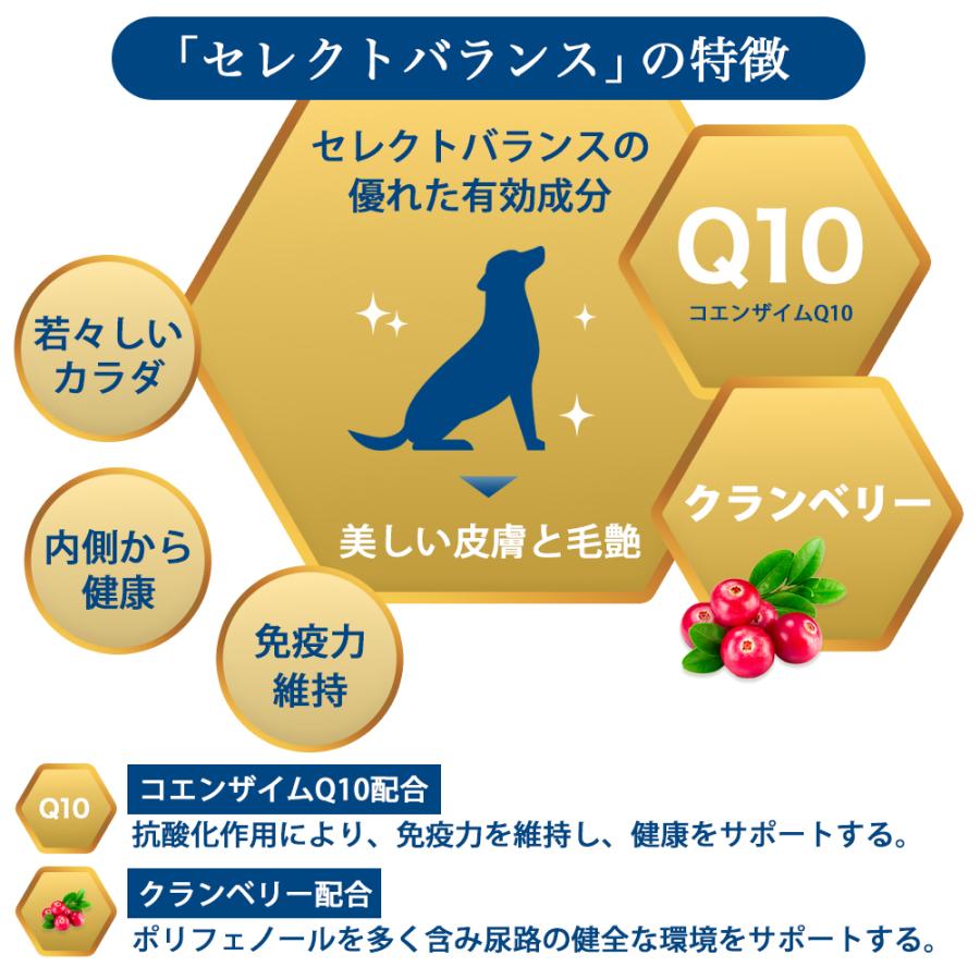 SELECT BALANCE セレクトバランス アダルト チキン 小粒 3kg 成犬用