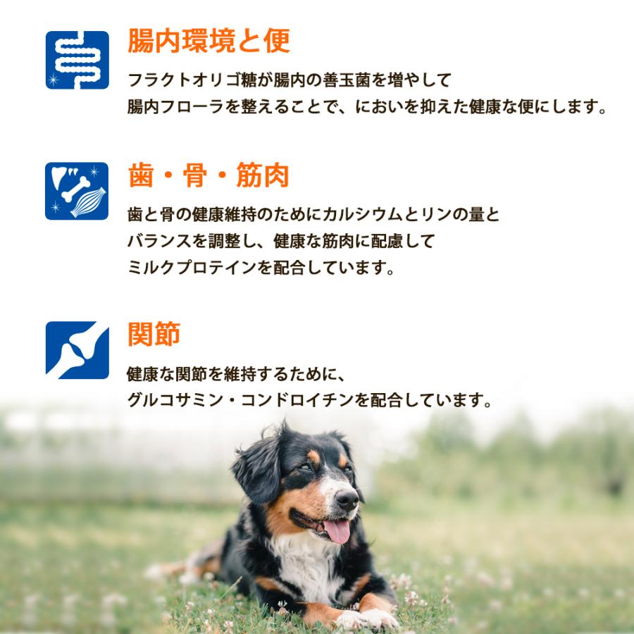 SELECT BALANCE セレクトバランス アダルト チキン 中粒 7kg 7キロ 成