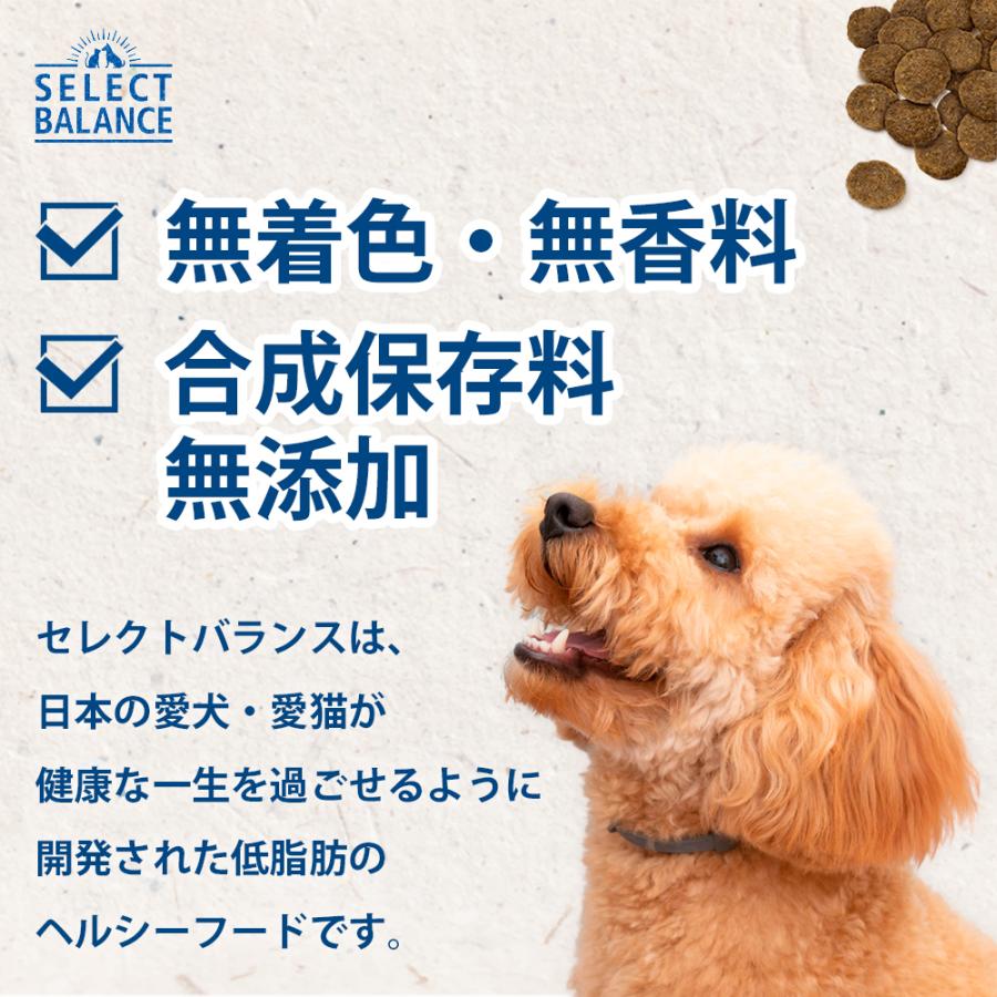 SELECT BALANCE セレクトバランス アダルト ラム 小粒 3kg 成犬用