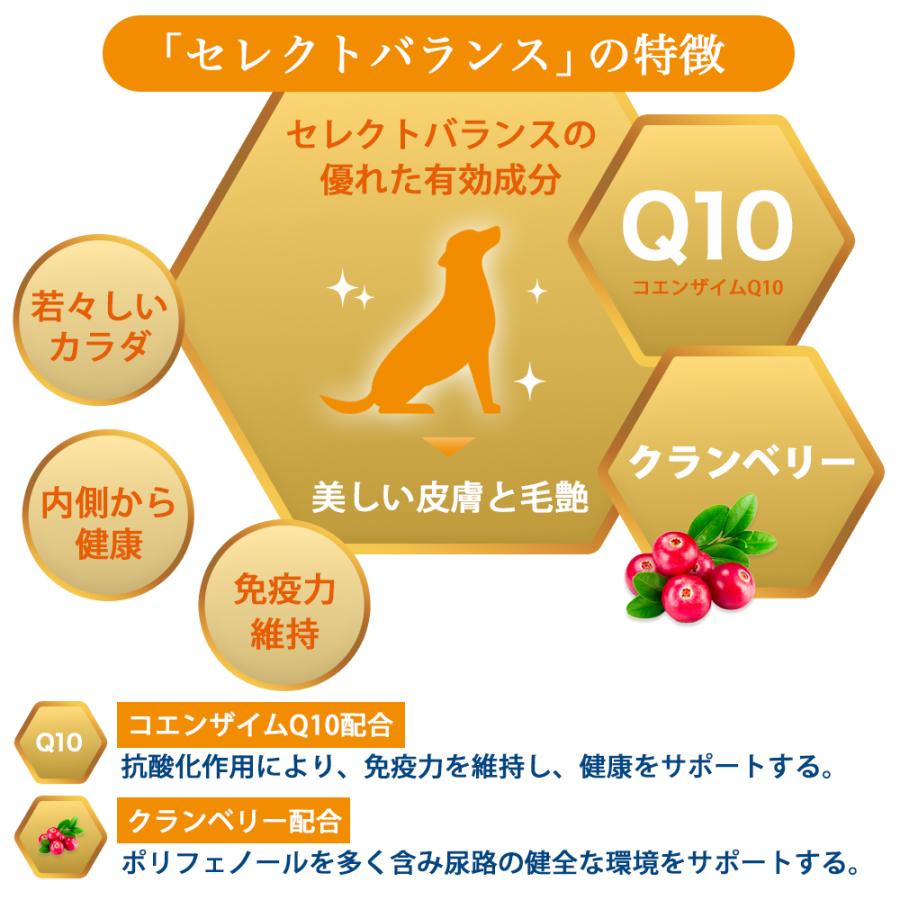 SELECT BALANCE ウエットティッシュプレゼント セレクトバランス