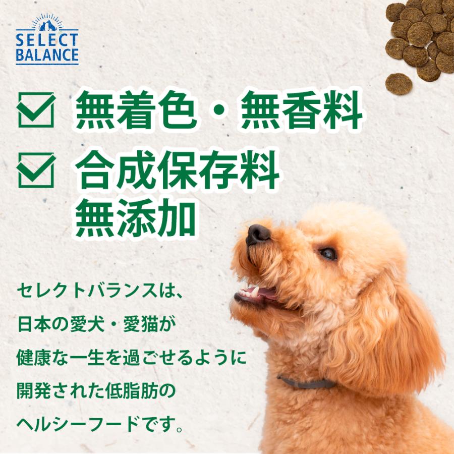 SELECT BALANCE おまけ付き セレクトバランス エイジングケア ラム