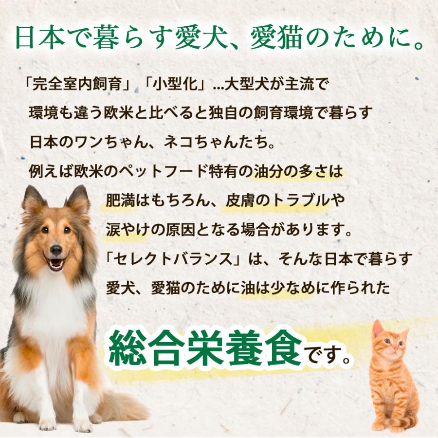 SELECT BALANCE おまけ付き セレクトバランス エイジングケア ラム