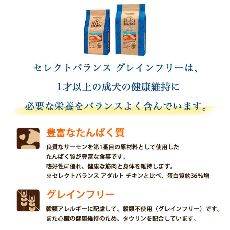 SELECT BALANCE セレクトバランス グレインフリー アダルト サーモン