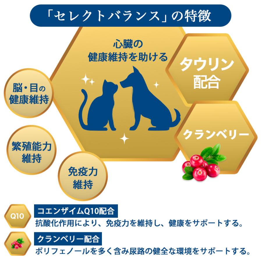 SELECT BALANCE セレクトバランス グレインフリー アダルト サーモン