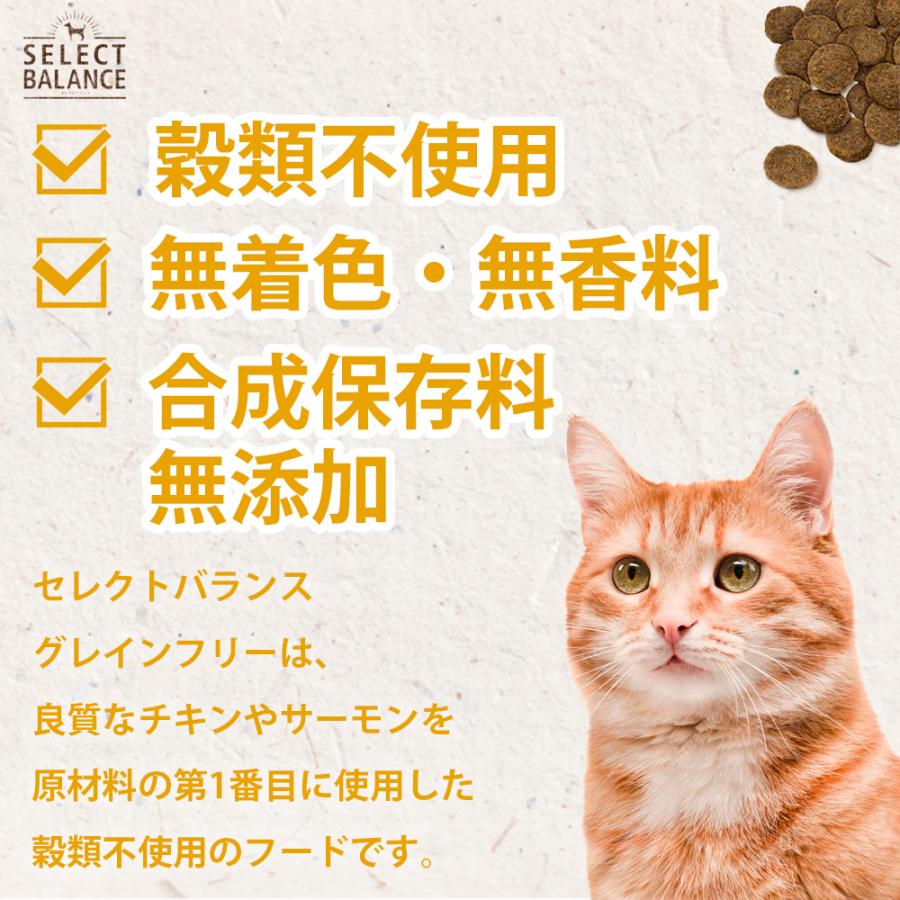 SELECT BALANCE おまけ付き セレクトバランス グレインフリー 猫 成猫