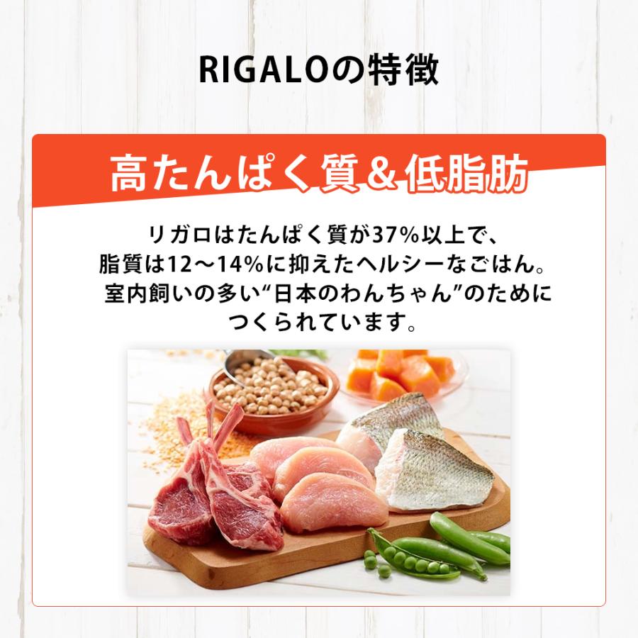 リガロ（RIGALO） おまけ付き ターキー 子犬 成犬 900g 高タンパク質