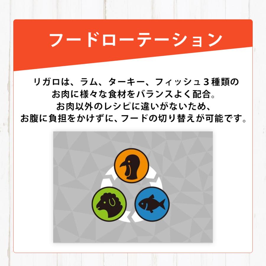 リガロ（RIGALO） おまけ付き ターキー 子犬 成犬 900g 高タンパク質