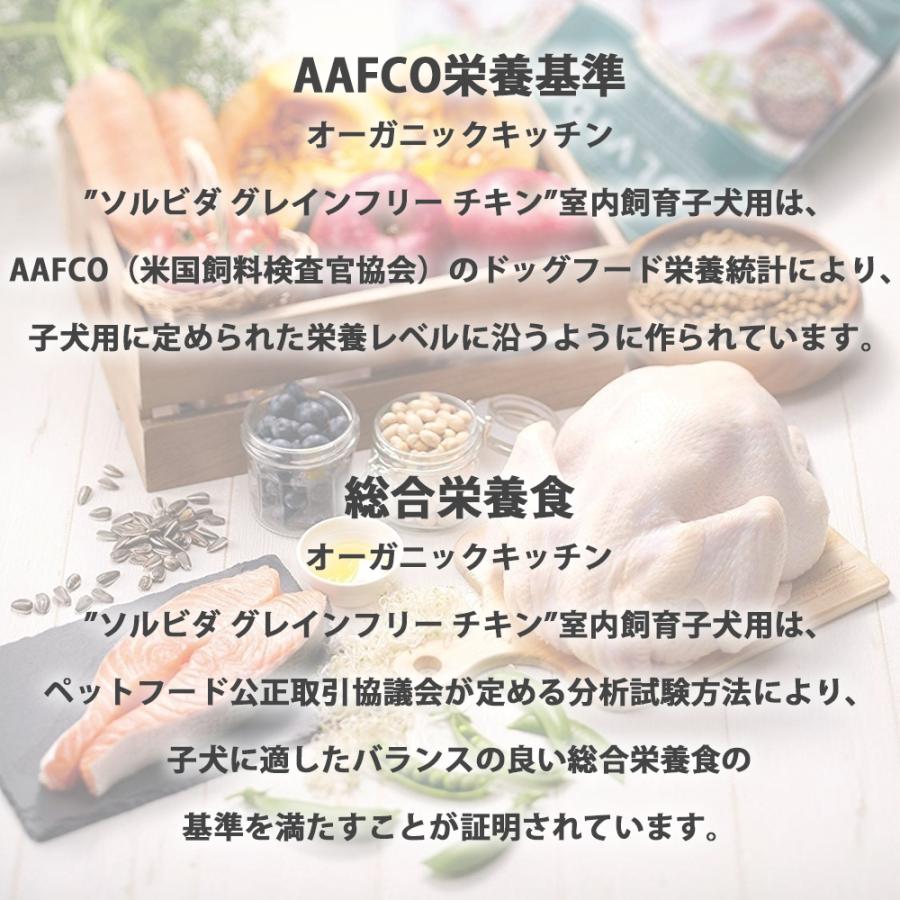 ソルビダ（SOLVIDA） グレインフリー チキン 室内飼育 子犬用 12kg 12