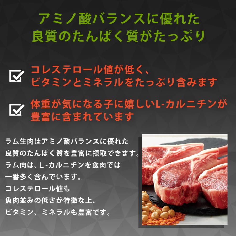 おまけ付き リガロ RIGALO ラム 子犬 成犬 12kg 高タンパク質 ハイプロテイン ドッグフード 羊 グレインフリー たんぱく質37％以上 低脂肪 パピー