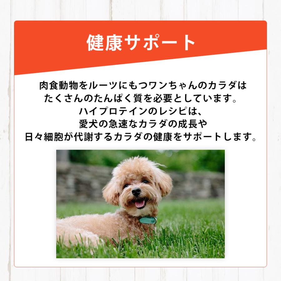 おまけ付き リガロ RIGALO ラム 子犬 成犬 12kg 高タンパク質 ハイプロテイン ドッグフード 羊 グレインフリー たんぱく質37％以上 低脂肪 パピー