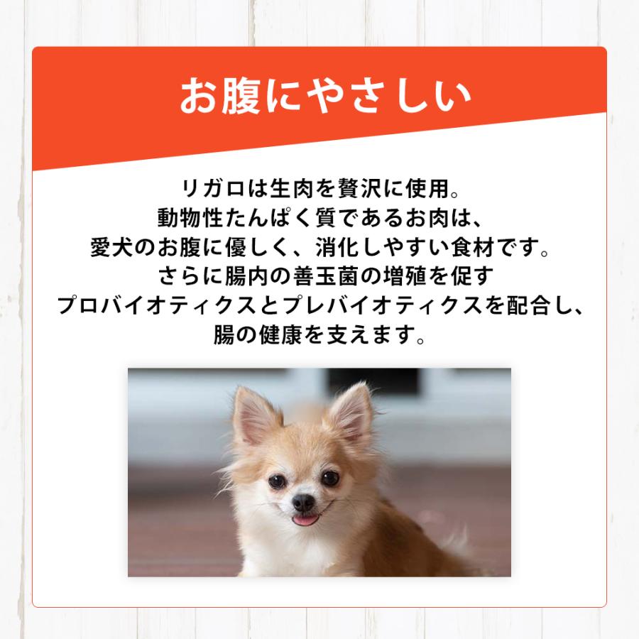 おまけ付き リガロ RIGALO ラム 子犬 成犬 12kg 高タンパク質 ハイプロテイン ドッグフード 羊 グレインフリー たんぱく質37％以上 低脂肪 パピー