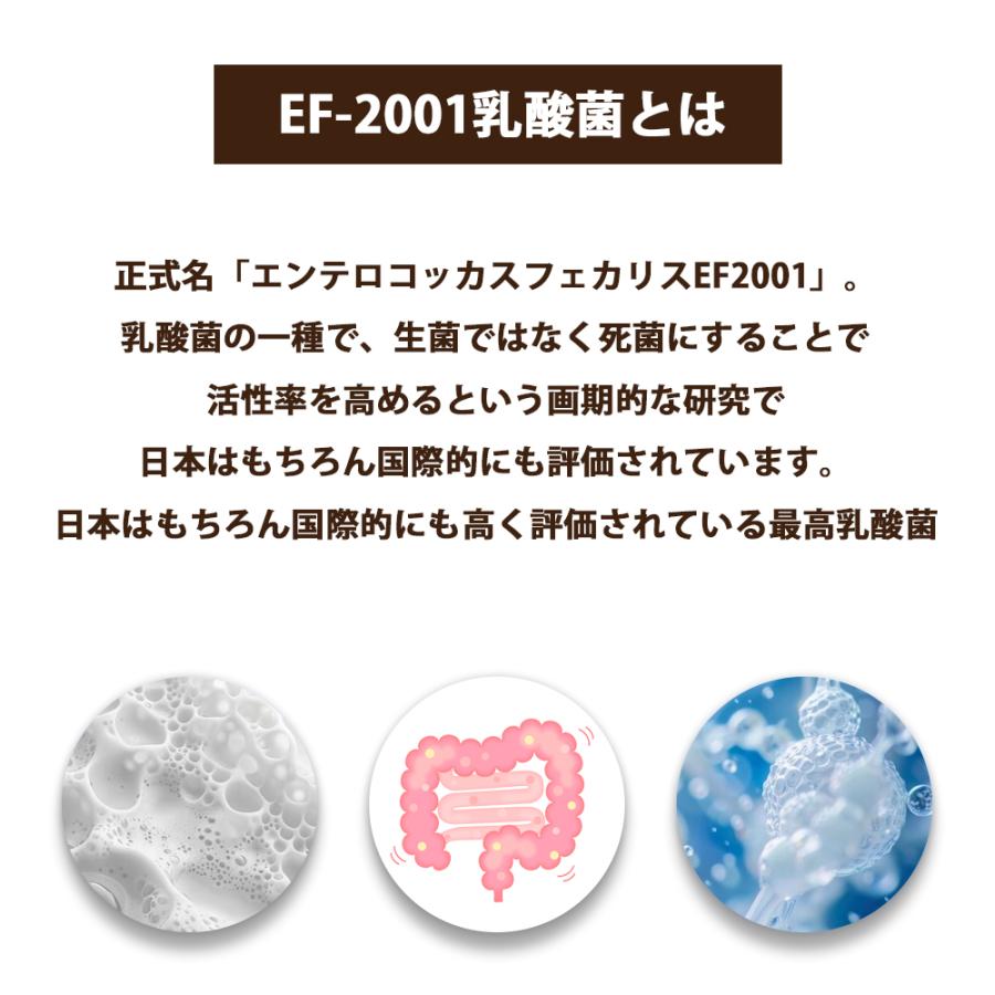 BLISMIX（ブリスミックス） おまけ付き ドッグ チキン 中粒 全犬種 全