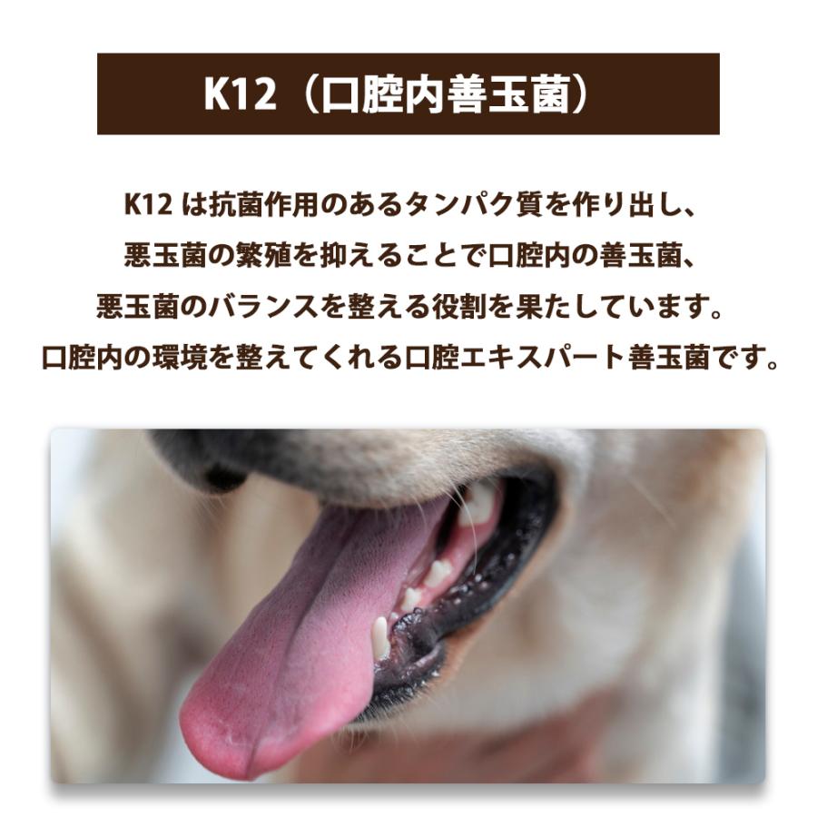 BLISMIX（ブリスミックス） おまけ付き ドッグ チキン 小粒 全犬種 全
