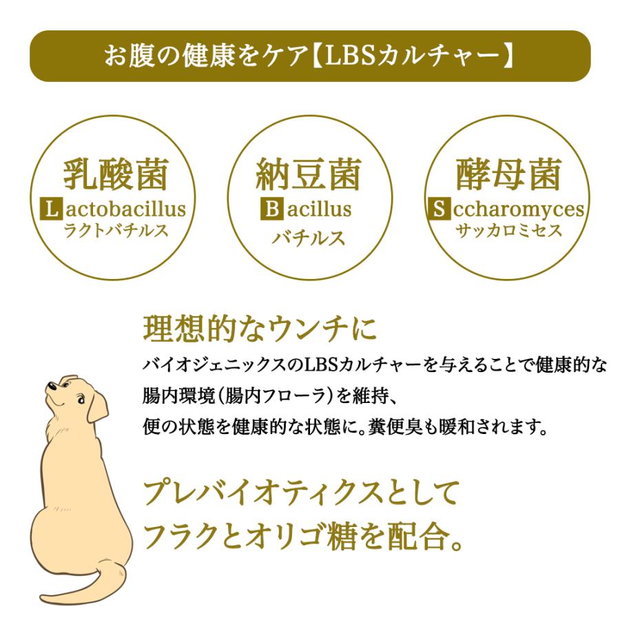 プロフェッショナル・バランス おまけ付き ペットライン