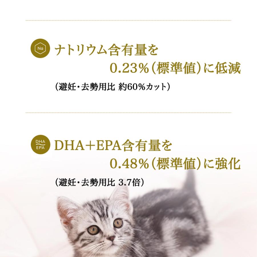 プロフェッショナル・バランス おまけ付き ペットライン