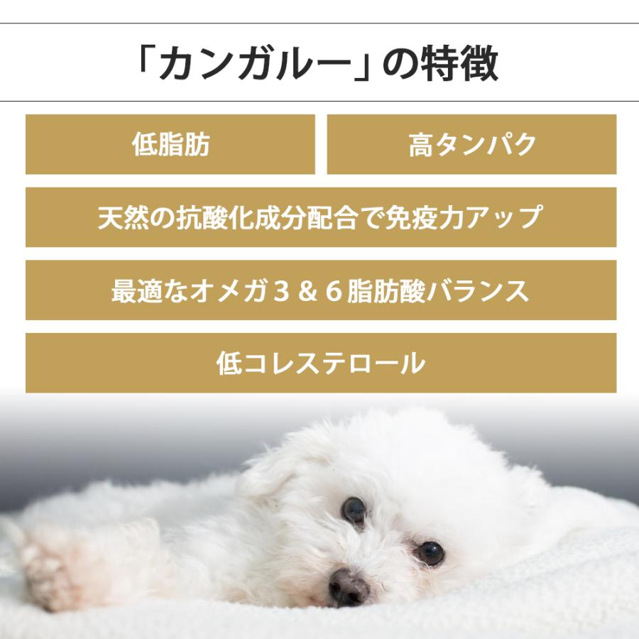 Kia Ora（キアオラ） おまけ付き ドッグフード カンガルー 9.5kg