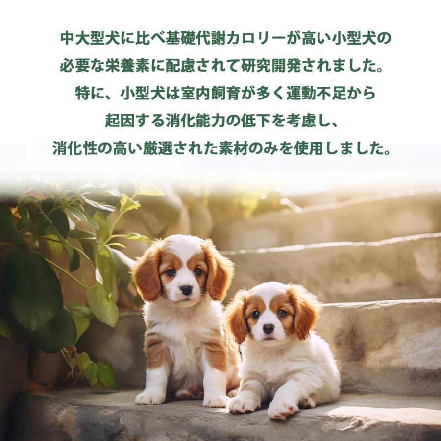 ARTEMIS おまけ付き アーテミス フレッシュミックス スモールブリード