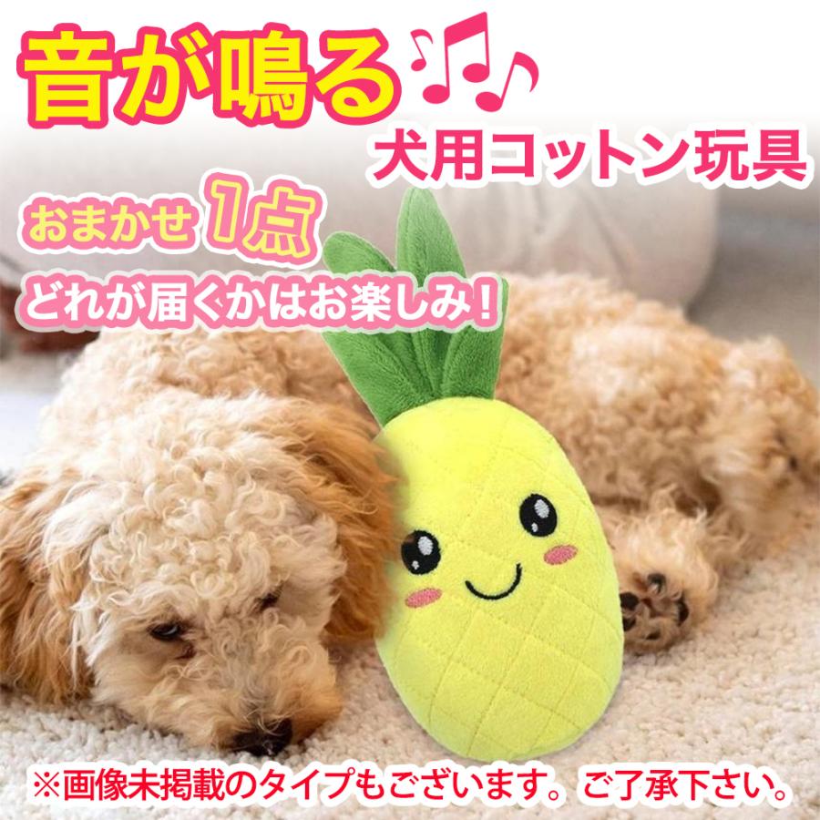 おまけ対象外 特典商品 001 おまかせワンちゃん用コットン玩具 1点 犬 