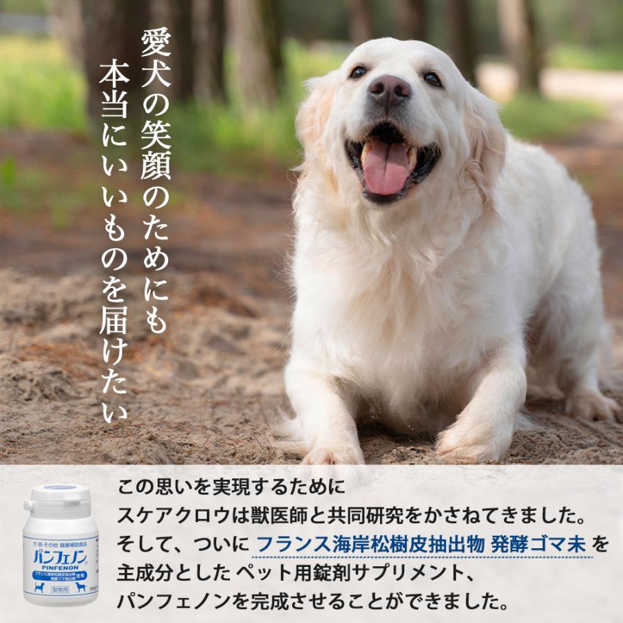おまけ付き パンフェノン 犬 イヌ 成犬 猫 ネコ ペット 動物
