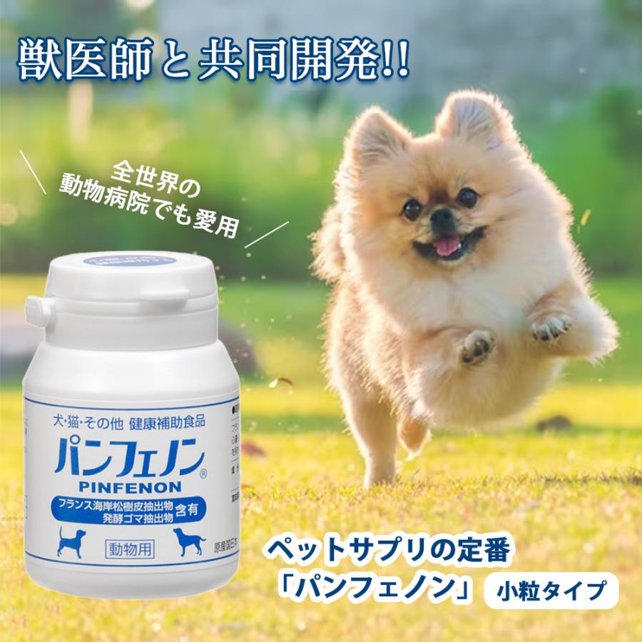 おまけ付き パンフェノン 犬 イヌ 成犬 猫 ネコ ペット 動物