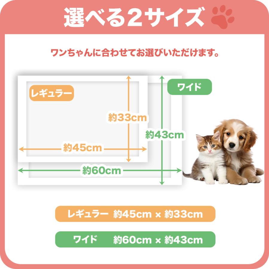 おまけ対象外 お得 ペットシーツ 薄型 レギュラー サイズ ペット 犬 猫