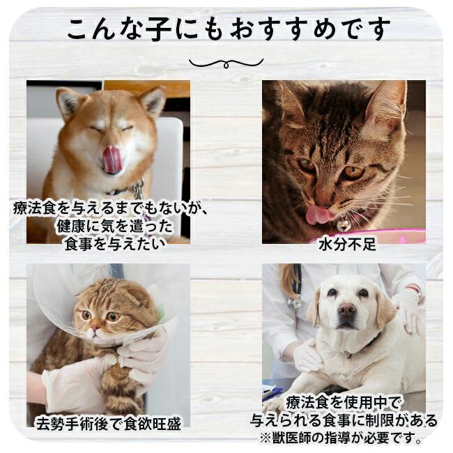 猫 ペットフード vetslabo 公式 メディムース 猫用 選べる6個セット キャットフード ウェットフード 国産 無添加 グレインフリー 水分補給 食欲不振 ベッツラボ | Vet's Labo | 12