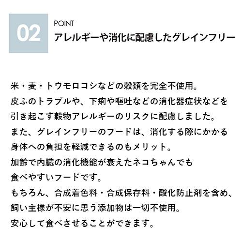 【新品・未開封・未使用品】猫用　ウェットフード　流動食　シニア　高齢猫 Vet's Labo ウェットフード 猫 シニア 高栄養 流動食 シリンジ