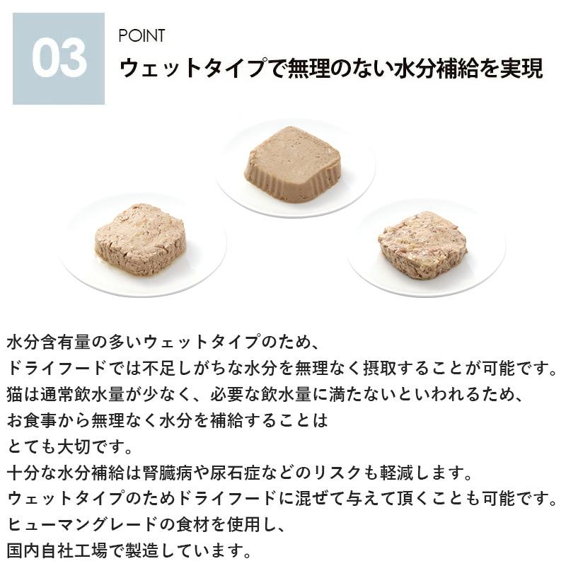 Vet's Labo（ベッツラボ） ウェットフード 猫 仔猫 キトン メディ