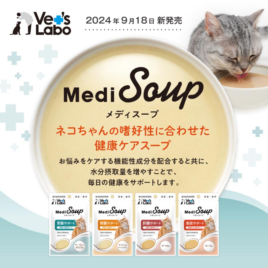 Vet's Labo（ベッツラボ） 猫 ウェットフード 胃腸 腎臓 肝臓 食欲