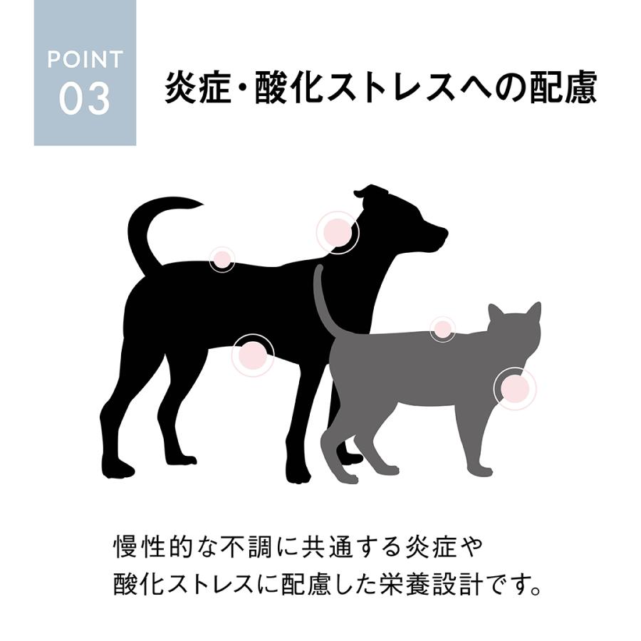犬 療法食 メディダイエット 犬用 皮ふケア 95g×48個 vetslabo 公式 ベッツラボ ウェットフード ペット 宅配便