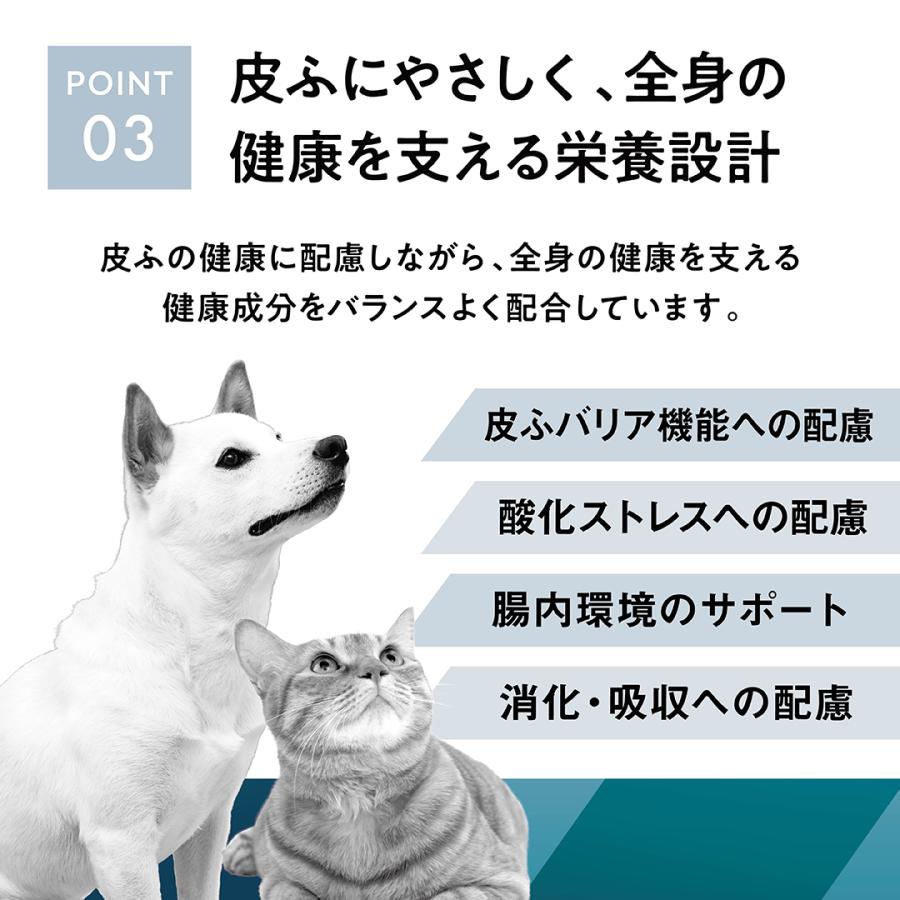 犬 療法食 メディダイエット 犬用 皮ふケア 95g×48個 vetslabo 公式 ベッツラボ ウェットフード ペット 宅配便