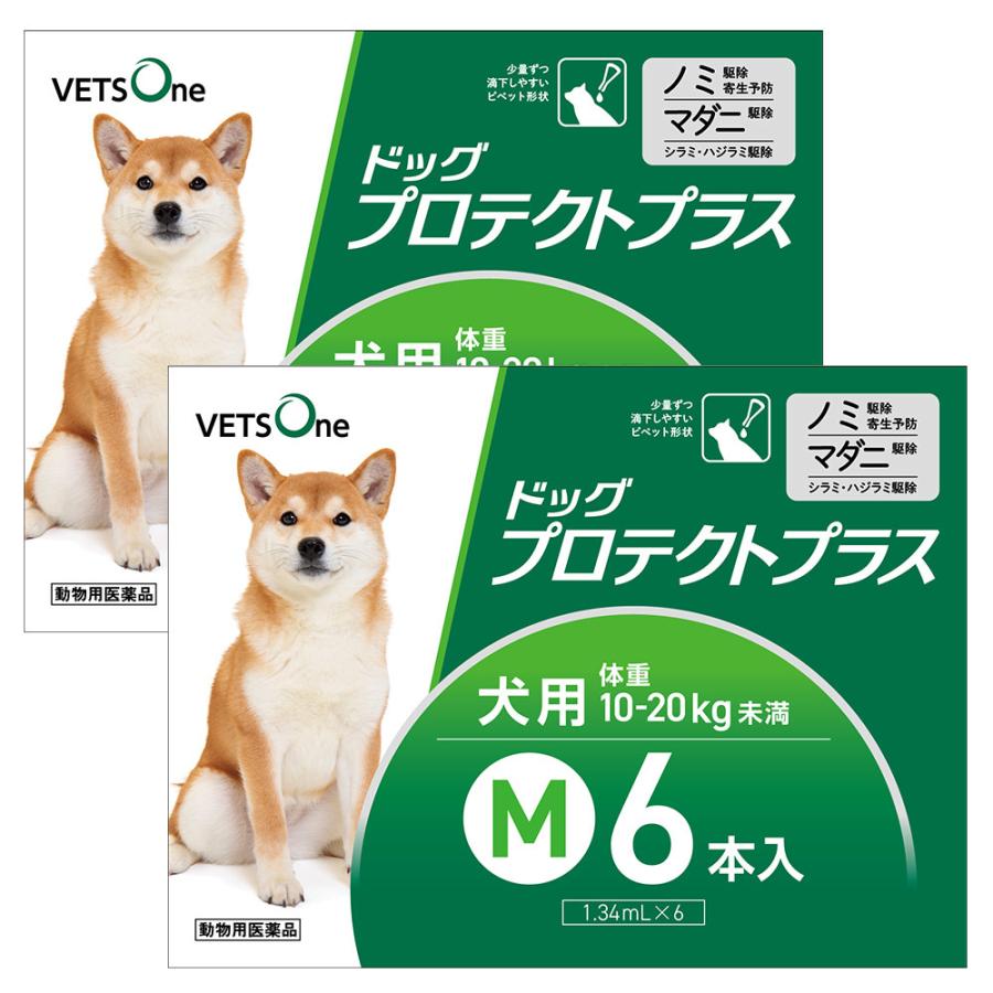 【2箱セット】ベッツワン ドッグプロテクトプラス 犬用 M 10kg〜20kg未満 6本 (動物用医薬品)（Yahoo!・ベッツワン公式ストア ヤフー店）