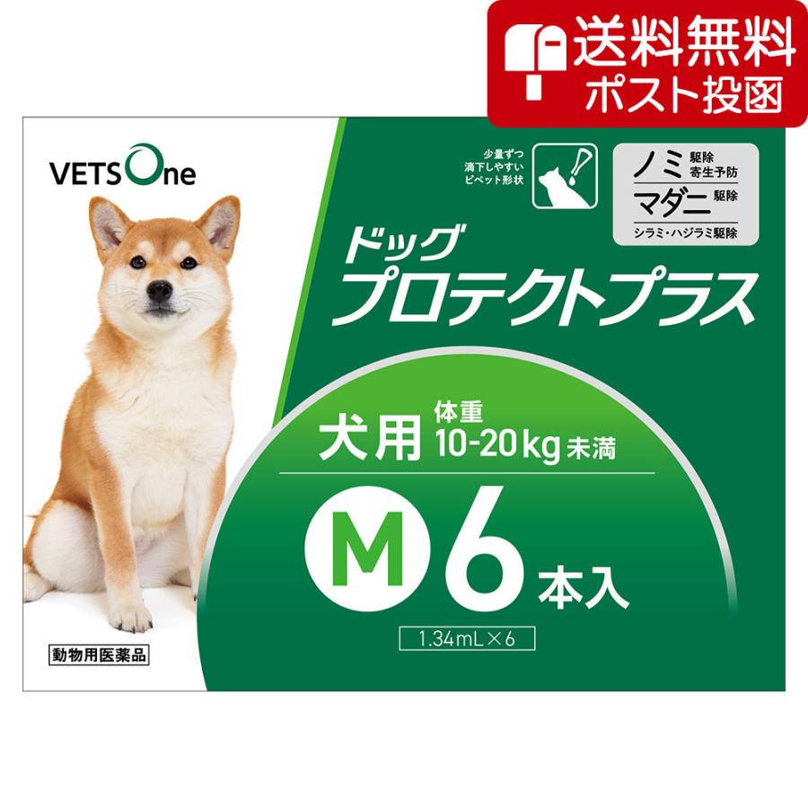 【ネコポス(同梱不可)】ベッツワン ドッグプロテクトプラス 犬用 M 10kg〜20kg未満 6本 (動物用医薬品)（Yahoo!・ベッツワン公式ストア ヤフー店）