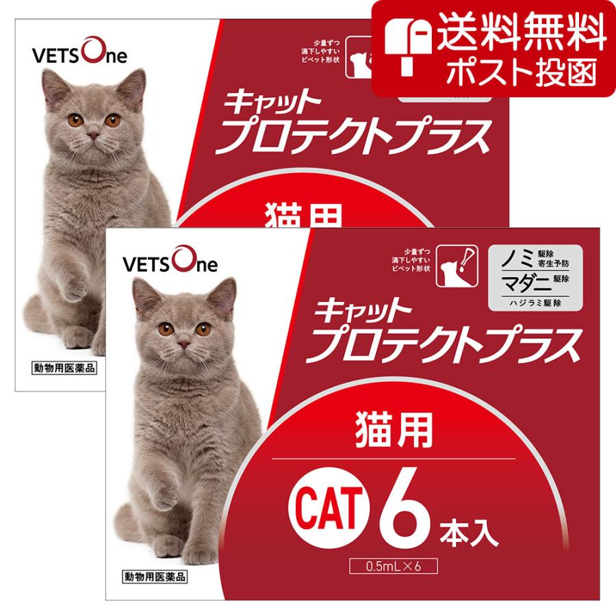 【ネコポス(同梱不可)】【2箱セット】ベッツワン キャットプロテクトプラス 猫用 6本 (動物用医薬品)（Yahoo!・ベッツワン公式ストア ヤフー店）