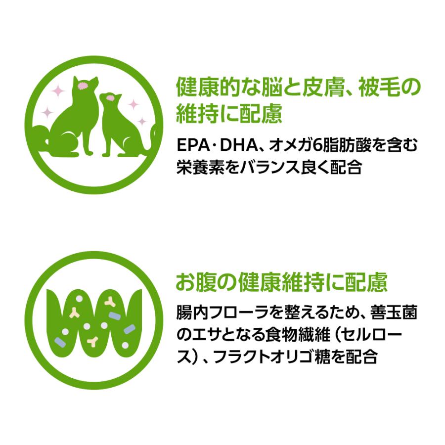 ベッツワンベテリナリー 【2袋セット】ベッツワンベテリナリー 猫用 pH