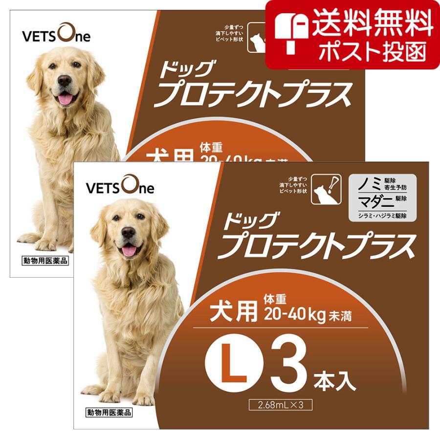 【ネコポス(同梱不可)】【2箱セット】ベッツワン ドッグプロテクトプラス 犬用 L 20kg〜40kg未満 3本 (動物用医薬品) | プロテクトプラス