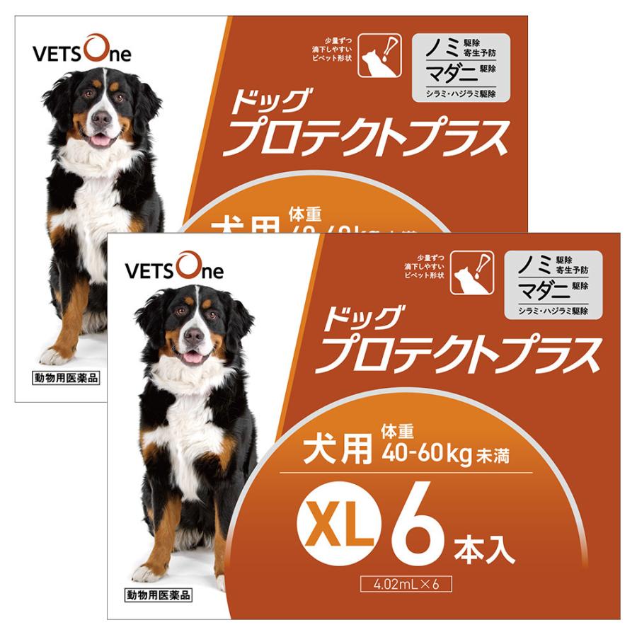 【2箱セット】ベッツワン ドッグプロテクトプラス 犬用 XL 40kg〜60kg未満 6本 (動物用医薬品) | プロテクトプラス